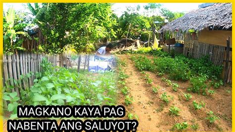 kinantot sa likod bahay